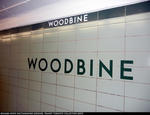 ttc-woodbine-station-tile-detail-20110123.jpg
